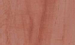 429.32 BANDAS P24 CTN-6591 BRILLO
