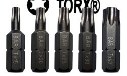 580.02 PUNTA TORX PROFESIONAL